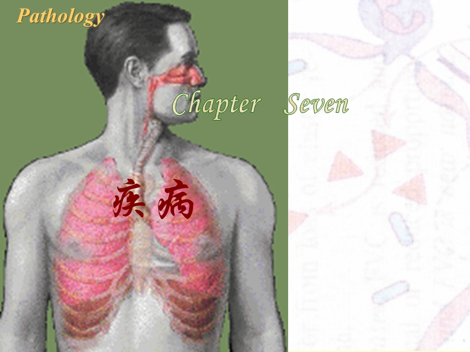 病理学(第八版)新编呼吸系统课件.pptx_第1页