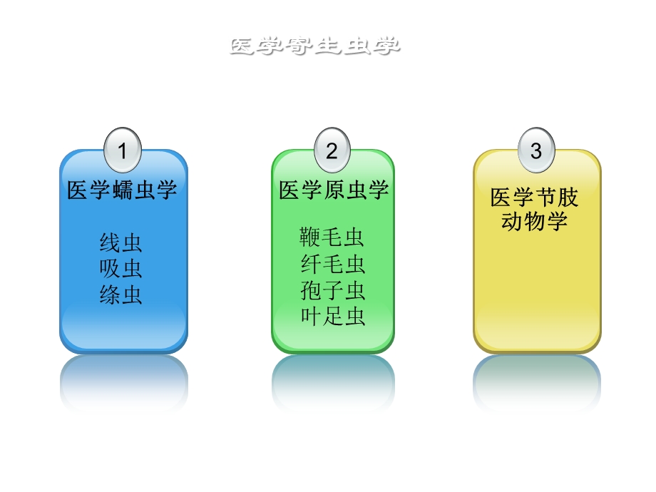 病原生物学与免疫学教研室课件.ppt_第3页