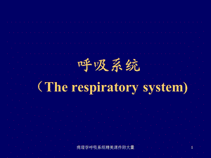 病理学呼吸系统精美课件附大量课件.ppt