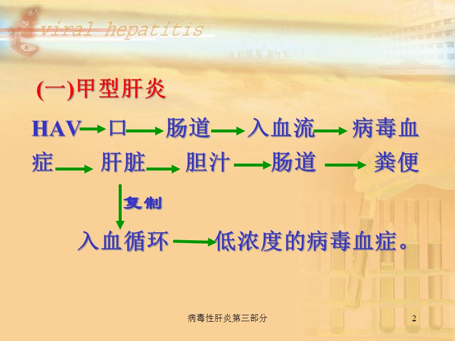 病毒性肝炎第三部分课件.ppt_第2页