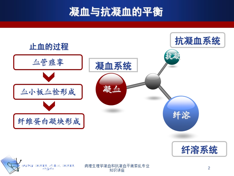 病理生理学凝血和抗凝血平衡紊乱专业知识讲座培训课件.ppt_第2页