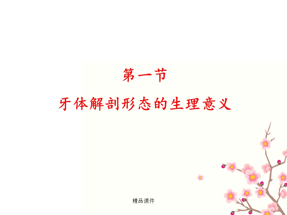 第三章口腔生理课件.ppt_第2页