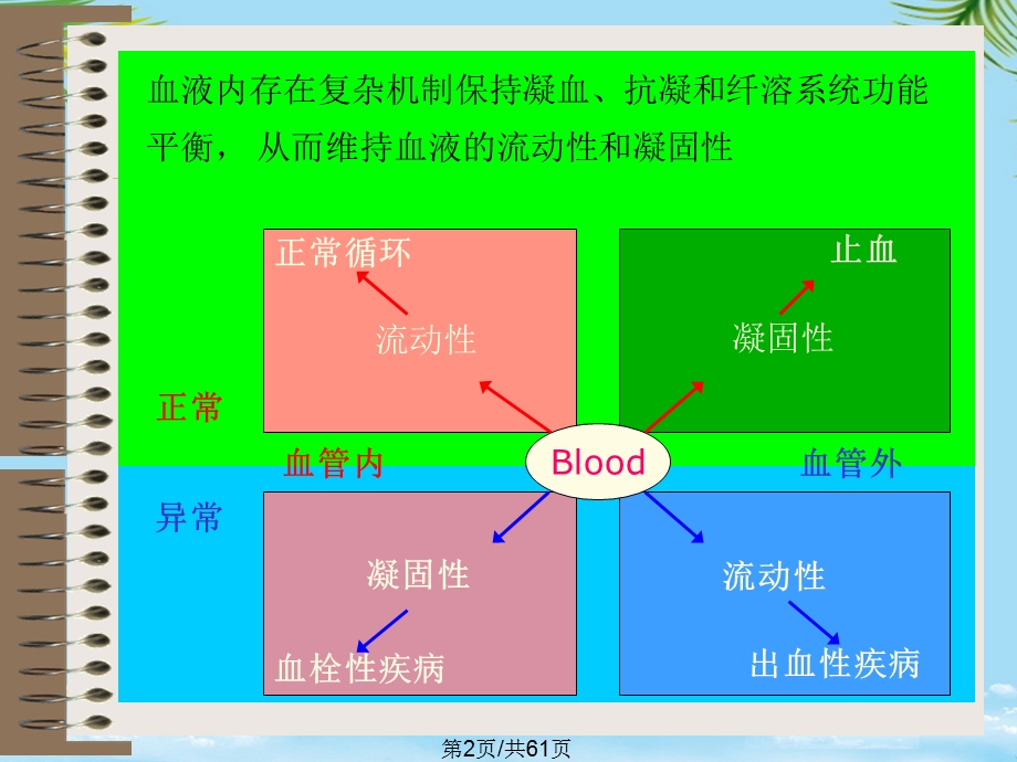 病理生理全面版课件.pptx_第2页