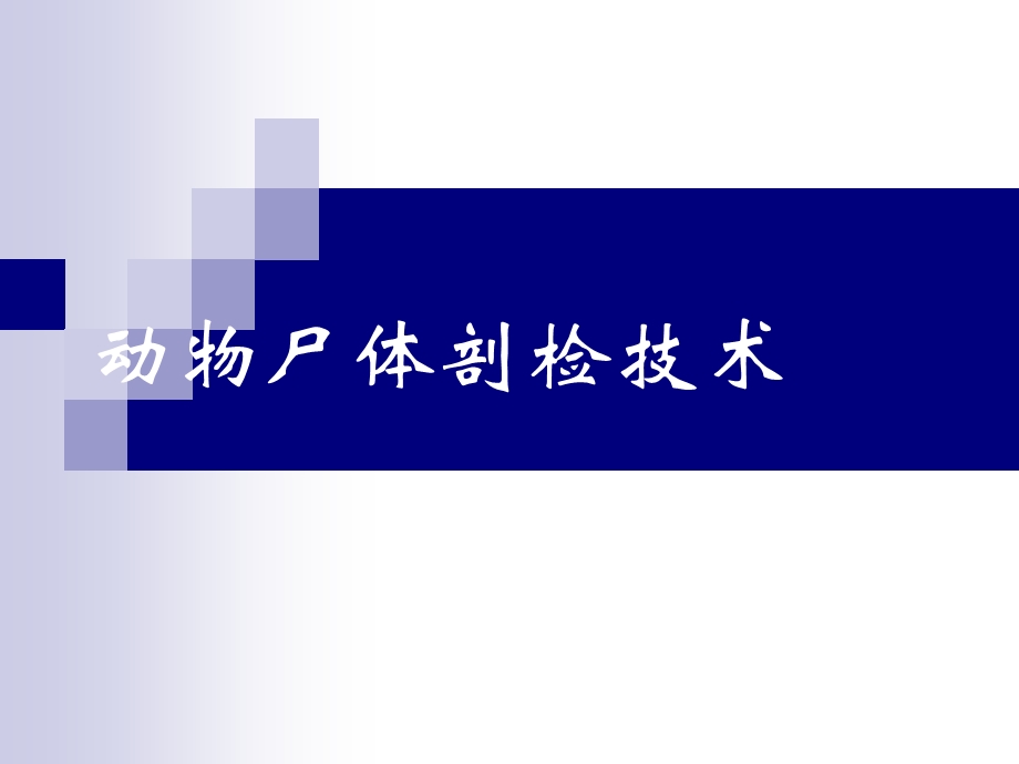 动物尸体剖检技术ppt课件.ppt_第1页