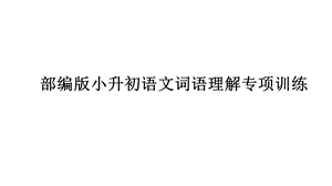 部编版小升初语文词语理解专项训练课件.pptx