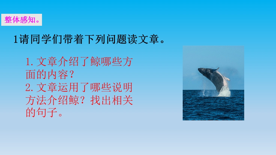 部编版五年级上册语文《习作例文》教学课件.pptx_第3页