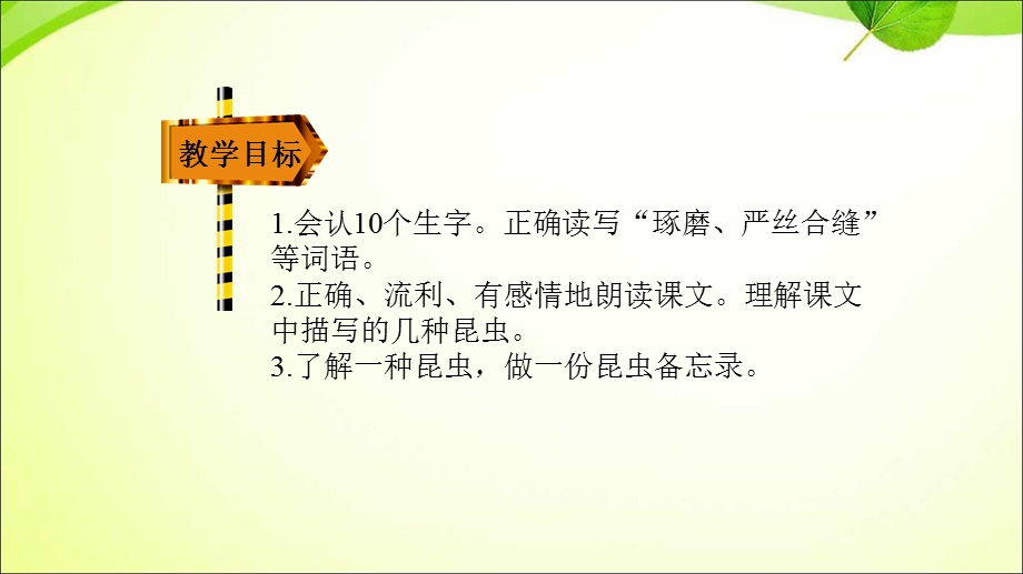 部编版三下语文4昆虫备忘录课件.ppt_第2页