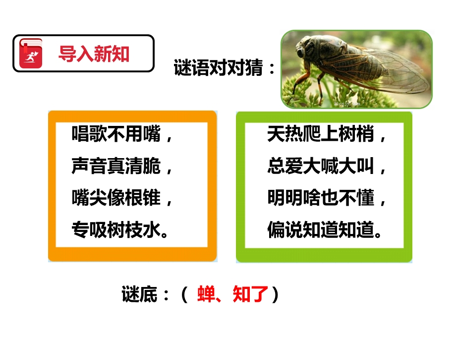 部编版语文二年级下册课件：第十一课我是一只小虫子(课件).pptx_第2页