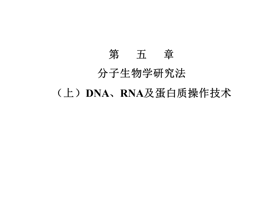 北大分子生物学ppt课件 朱玉贤.ppt_第1页