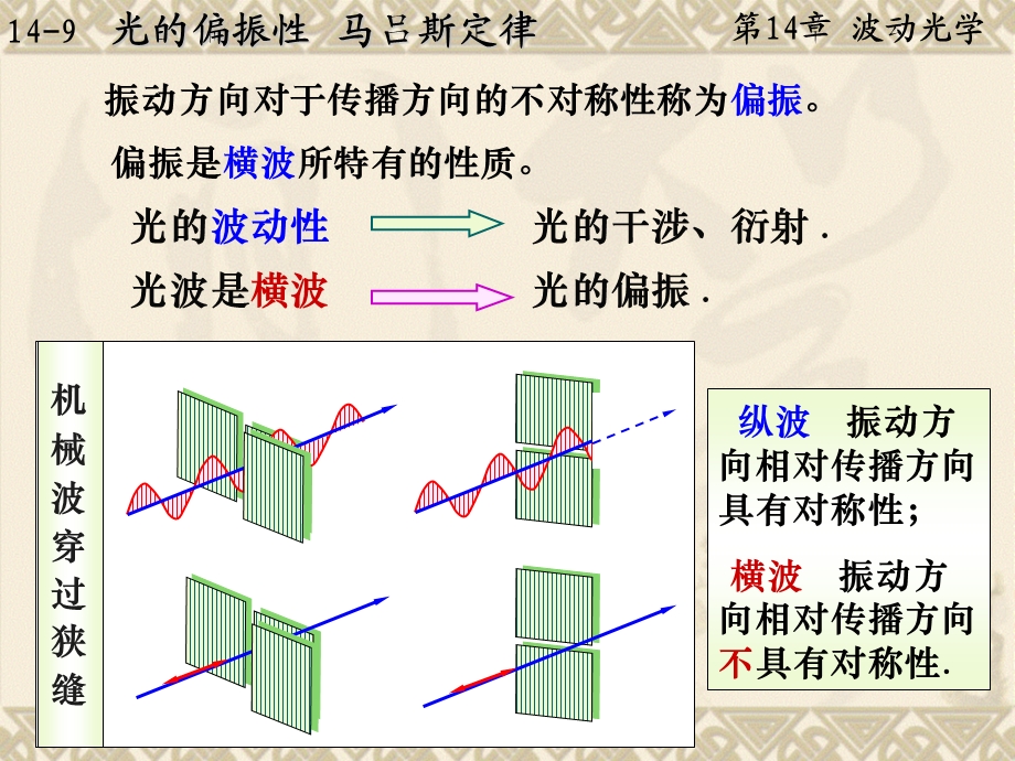 大学物理 14 9 马吕斯定律ppt课件.ppt_第2页