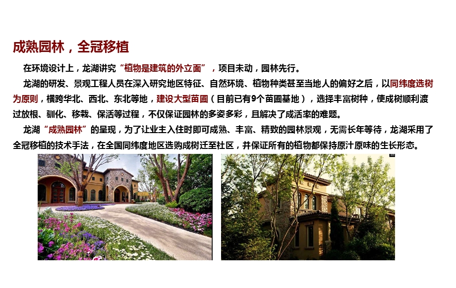 龙湖景观特点分析课件.ppt_第3页