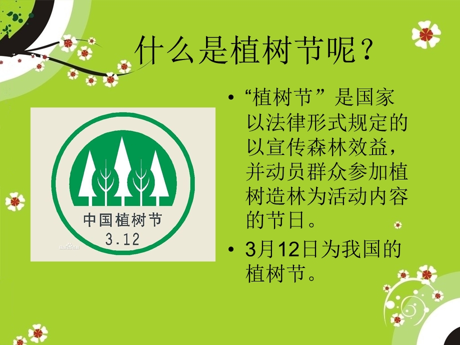 大班社会《我们去种树》ppt课件.ppt_第2页