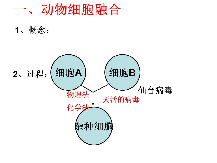 单克隆抗体的制备 演示文稿ppt课件.ppt_第3页