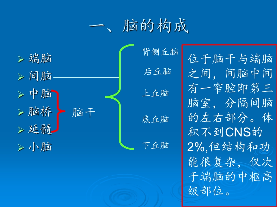 大脑的解剖结构和头颅MRI的影像分析ppt课件.ppt_第2页