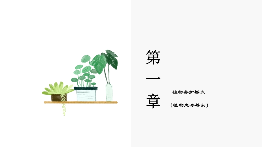 室内植物养护PPT课件(花满园园艺初级培训课件).pptx_第3页