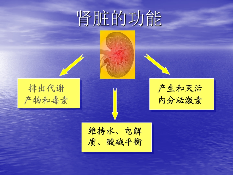 慢性肾衰竭主要内容ppt课件.ppt_第2页