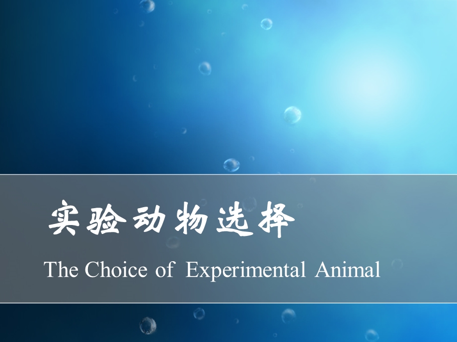 实验动物的选择ppt课件.ppt_第1页