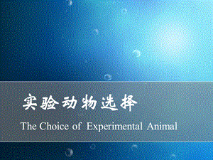 实验动物的选择ppt课件.ppt