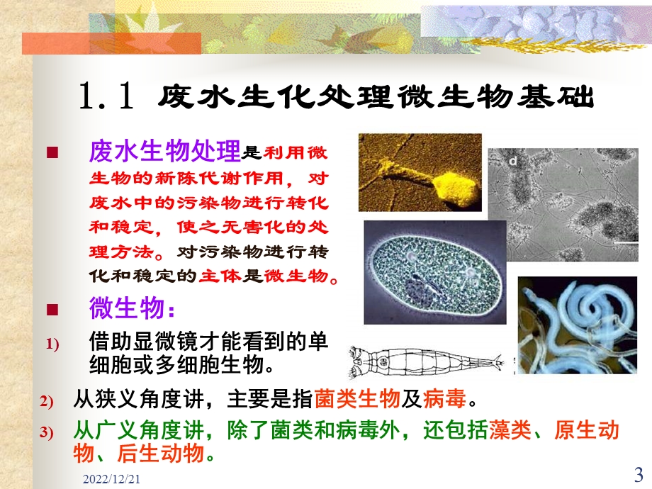 废水生物处理理论基础ppt课件.ppt_第3页