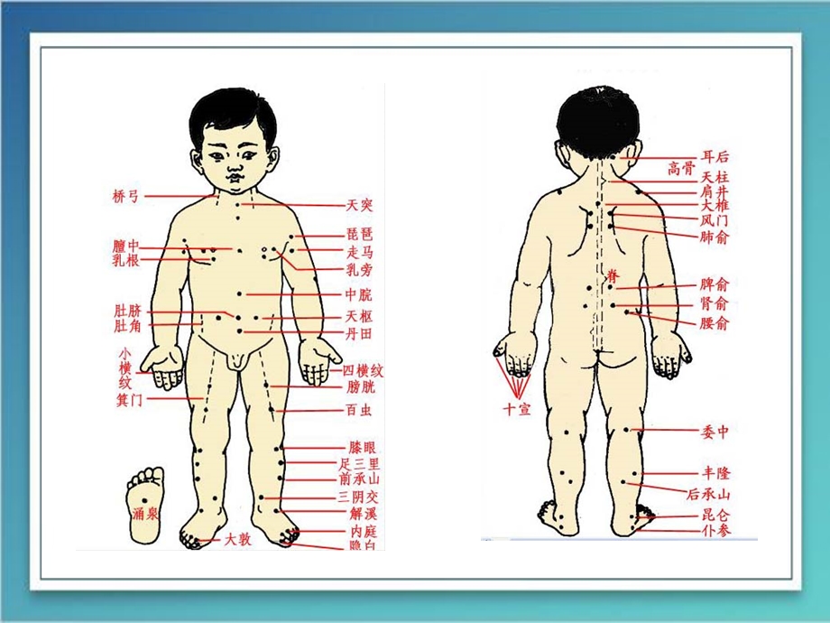 教材图文版 小儿推拿常用穴位及特定穴ppt课件.ppt_第3页