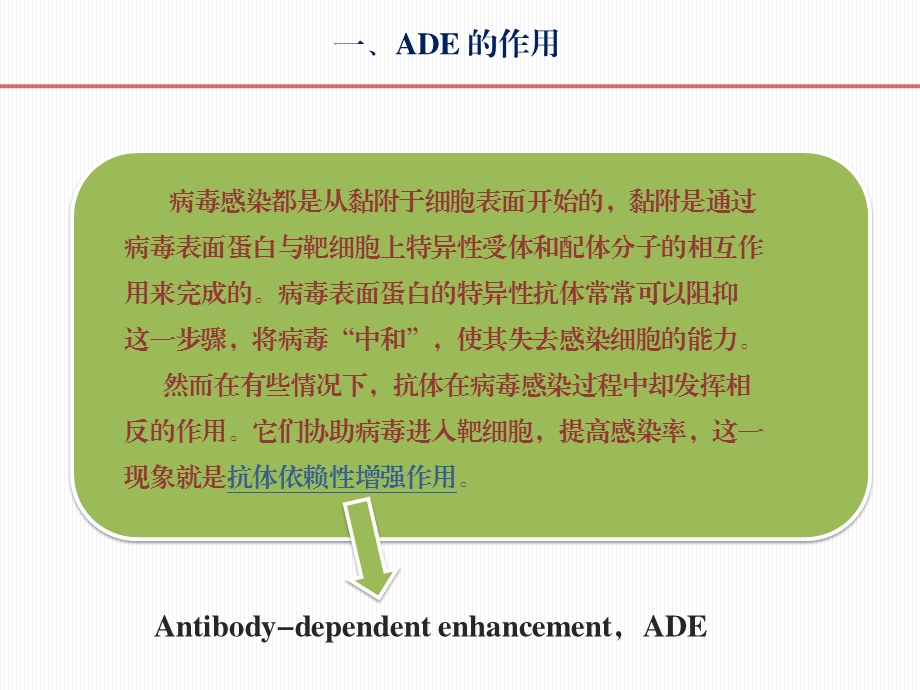 抗体依赖性增强作用机制ppt课件.ppt_第3页