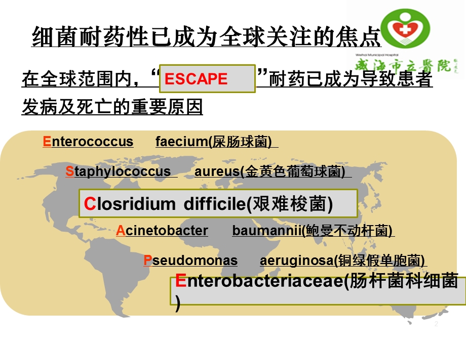 抗菌药物的合理应用ppt课件.ppt_第2页