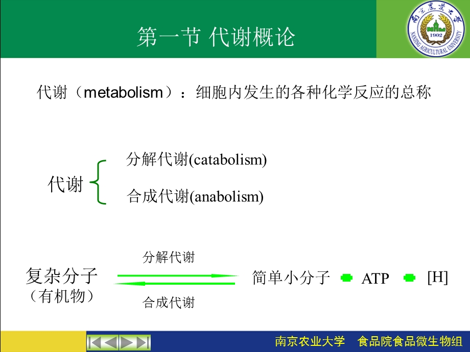 第七章 微生物的代谢ppt课件.ppt_第3页