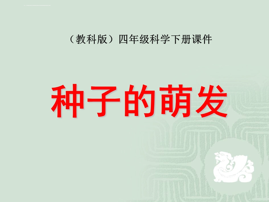 种子的萌发ppt课件.ppt_第1页