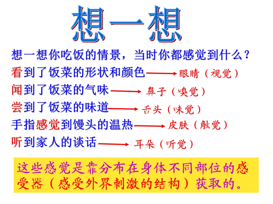 第一节 人体对外界环境的感知第1课时ppt课件.ppt_第2页