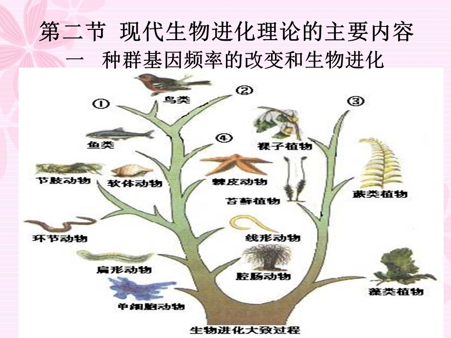 现代生物进化理论的主要内容（公开课）ppt课件.ppt_第1页