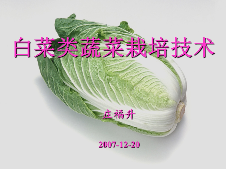 白菜类蔬菜的栽培技术ppt课件.ppt_第1页