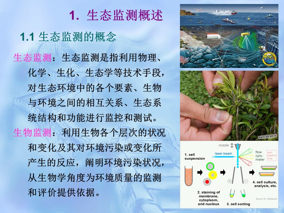 第五章 生态监测与生态评价ppt课件.ppt_第3页