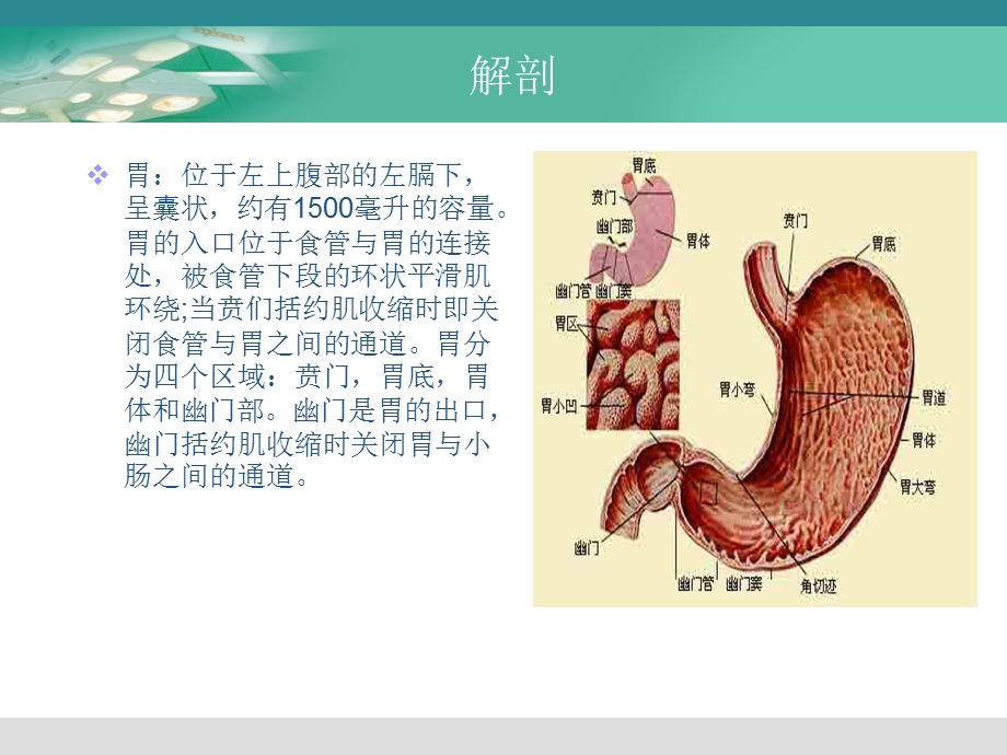 腹腔镜胃癌根治术的手术配合ppt课件.ppt_第3页