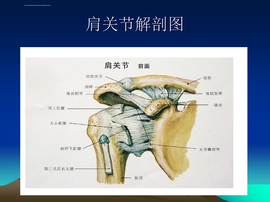 肩关节镜的护理查房ppt课件.ppt_第3页