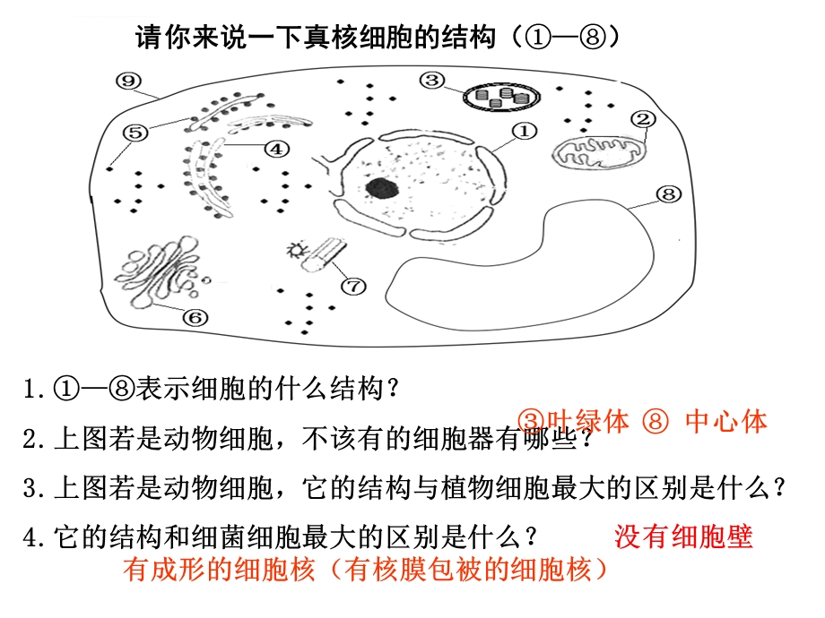 细胞结构与功能小专题复习总结ppt课件.ppt_第2页