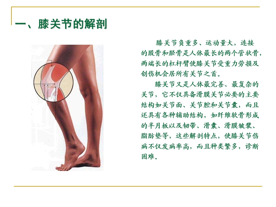 膝关节骨性关节炎的中医综合治疗ppt课件.ppt_第3页