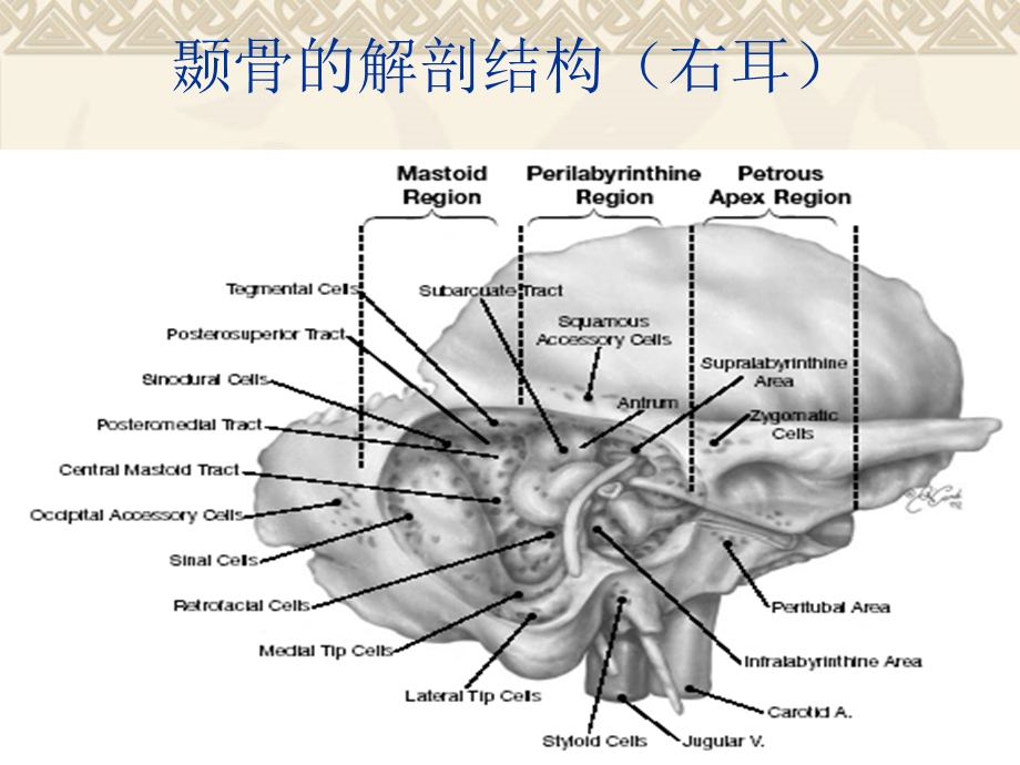 颞骨的CT解剖及诊断ppt课件.ppt_第2页