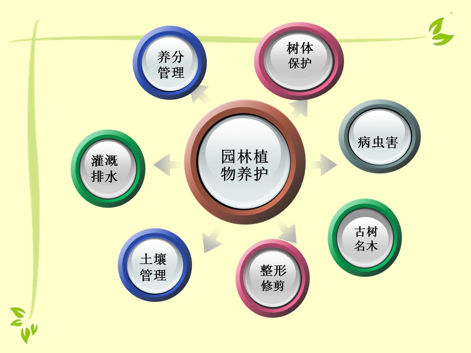 项目四：园林植物的养护管理ppt课件.pptx_第3页