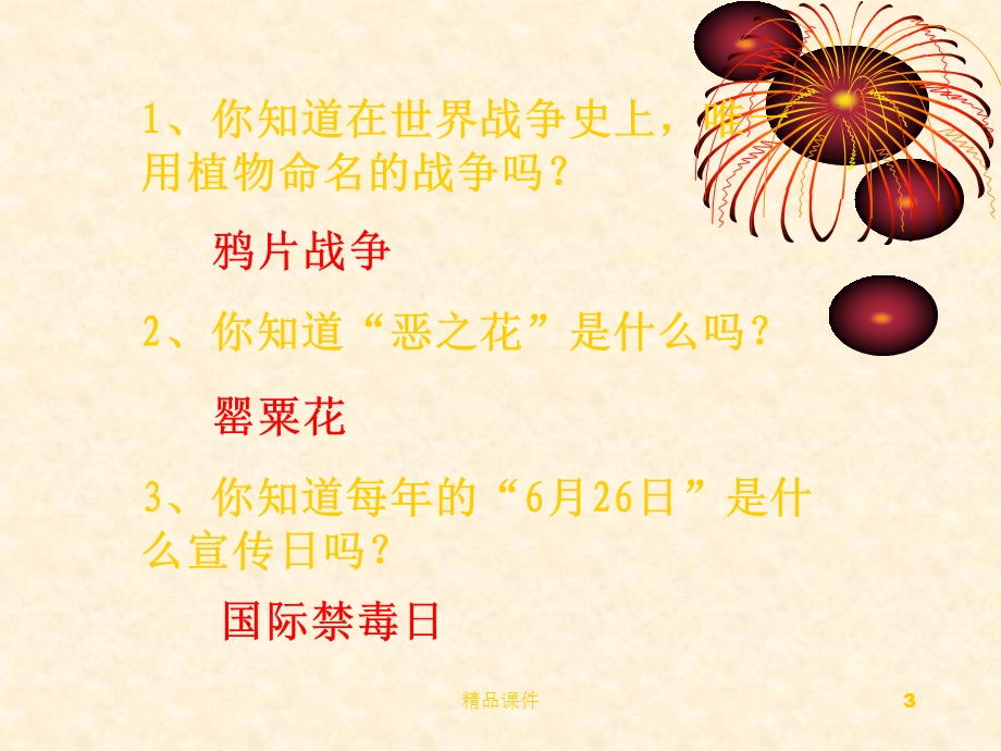 禁毒教育宣传课件.ppt_第3页