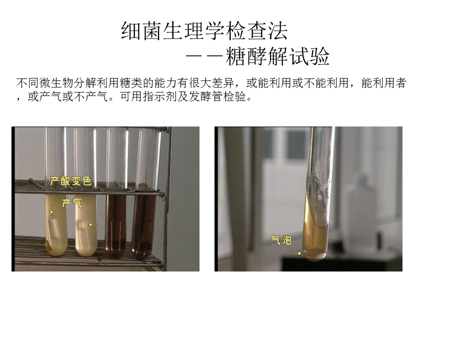 细菌生理学检查法微生物生化反应课件.ppt_第2页