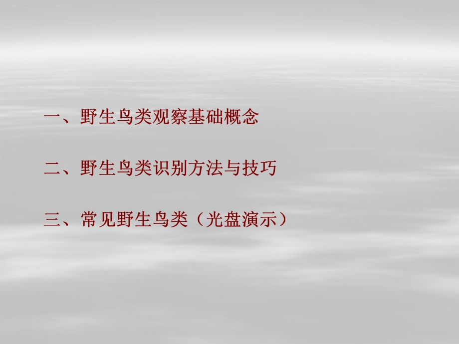 鸟类观察与认别ppt课件.ppt_第2页