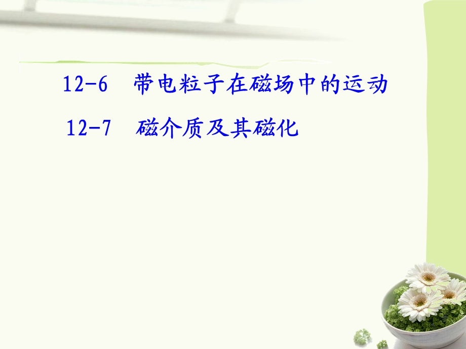 第十二章稳恒磁场课件.ppt_第3页