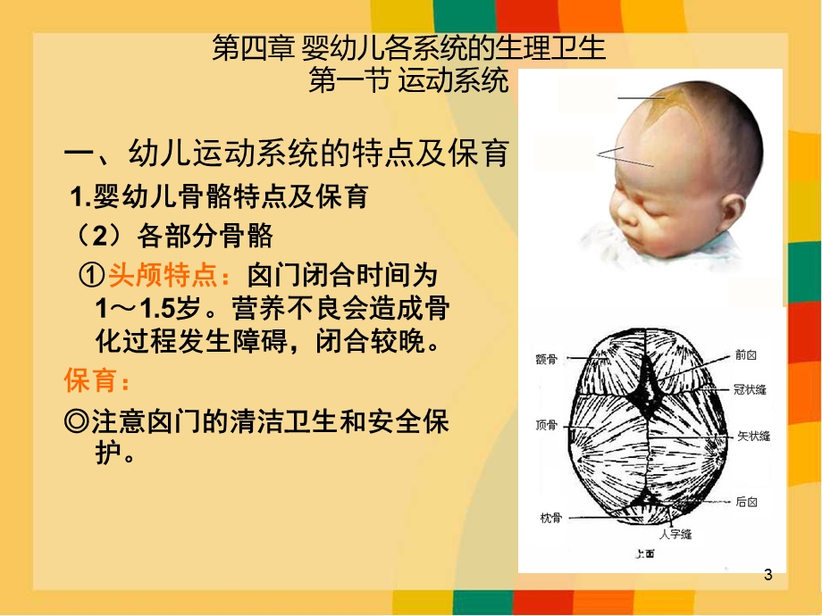 婴幼儿各系统的生理卫生课件.ppt_第3页