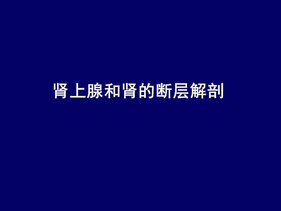 肾上腺和肾的断层解剖 腹部断层解剖学人体断层解剖课件.ppt_第1页