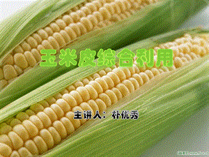 第五节 玉米的综合利用玉米皮的综合利用课件.ppt