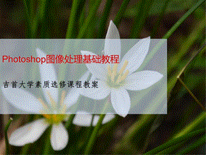 Photoshop图像处理教程课件.ppt