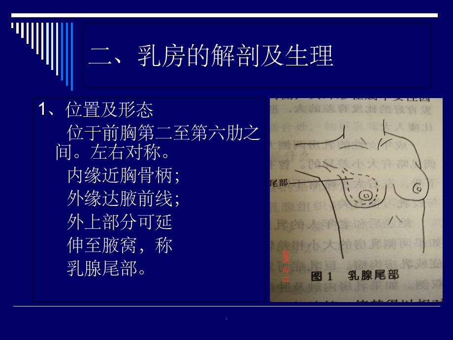中医外科学 乳房疾病概述课件ppt.ppt_第3页