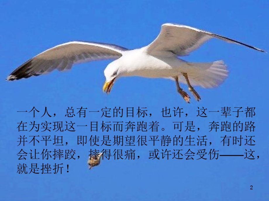 关于挫折课件.ppt_第2页