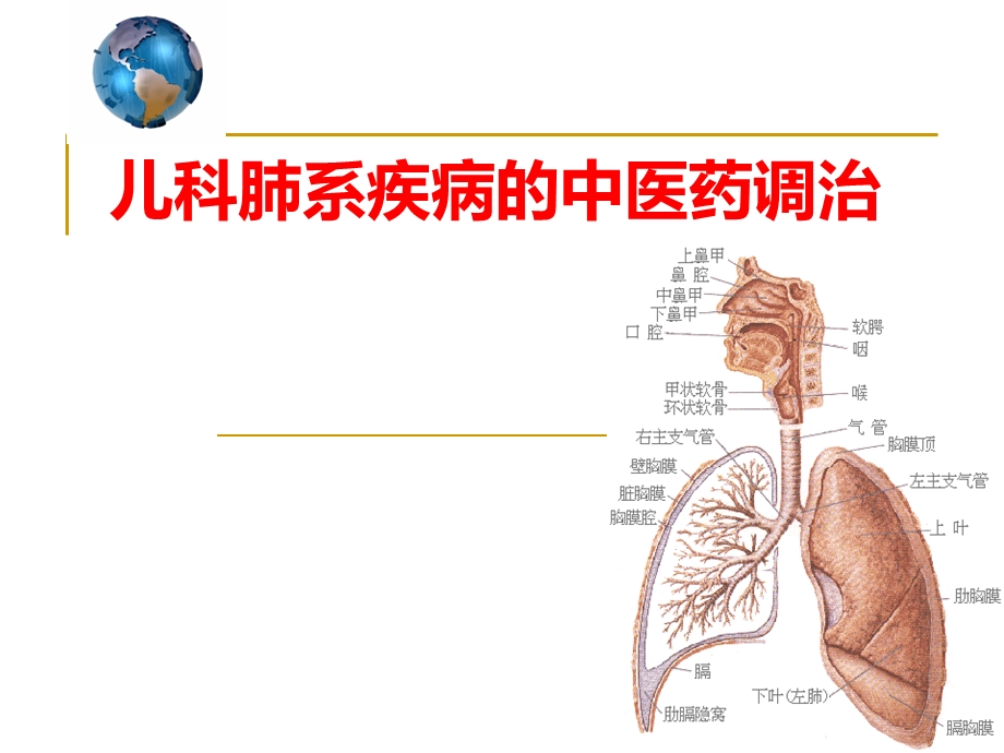 小儿肺系疾病的中医药调治课件.ppt_第1页