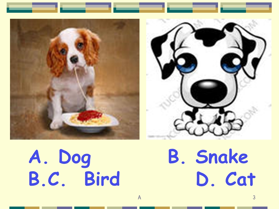 小学英语分类单词（动物类）课件.ppt_第3页